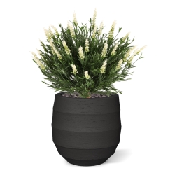Artificiale Lavanda Sfera UV Bianco 60cm in vaso