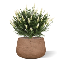 Artificiale Lavanda Sfera UV Bianco 60cm in vaso