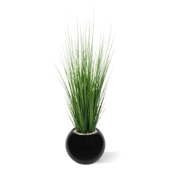 Pianta d'erba 100 cm in vaso