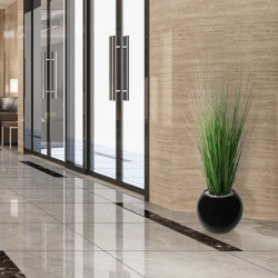 Pianta d'erba 100 cm in vaso