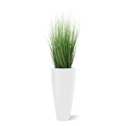 Pianta d'erba 100 cm in vaso