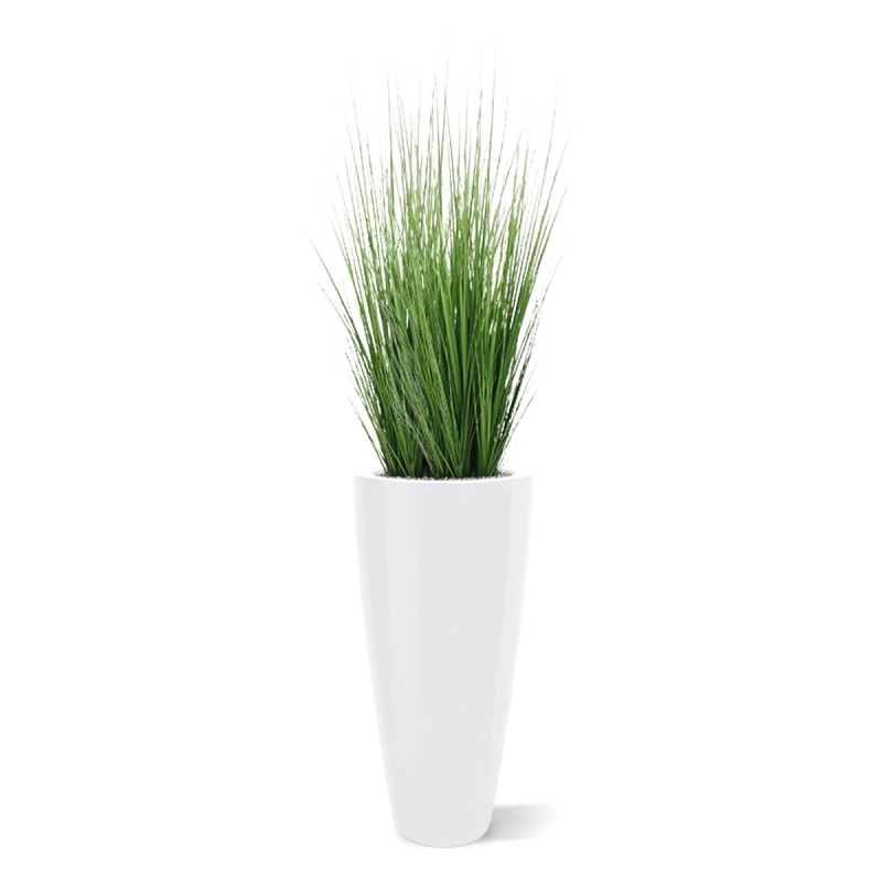 Pianta d'erba 100 cm in vaso