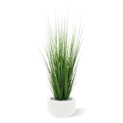 Pianta d'erba 100 cm in vaso
