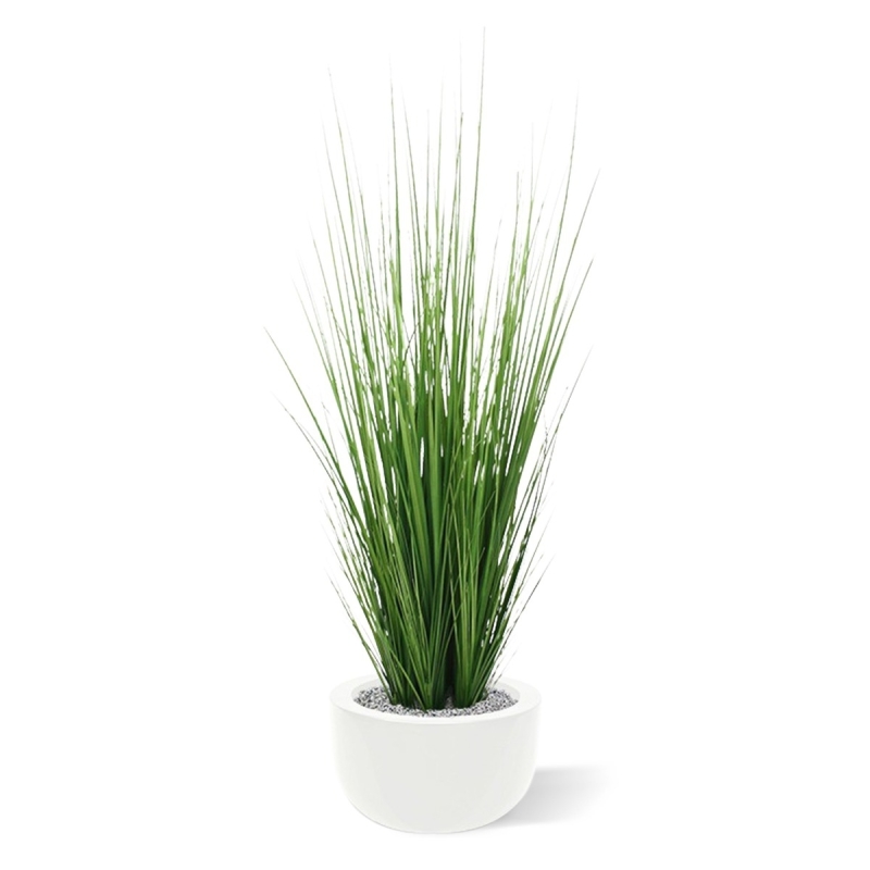 Pianta d'erba 100 cm in vaso