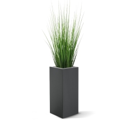 Pianta d'erba 100 cm in vaso