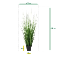 Pianta d'erba 100 cm in vaso