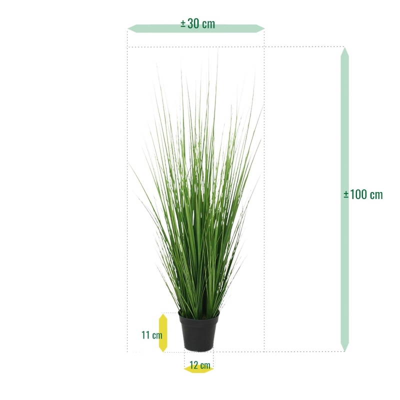 Pianta d'erba 100 cm in vaso