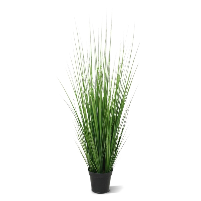 Pianta d'erba 100 cm in vaso