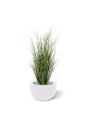 Pianta di erba artificiale Reed 80cm - verde/crema