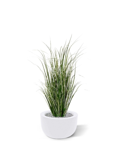 Pianta di erba artificiale Reed 80cm - verde/crema