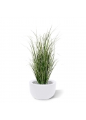Pianta di erba artificiale Reed 80cm - verde/crema