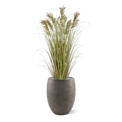 Pianta di erba artificiale Pampa 120cm