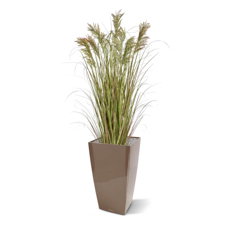 Pianta di erba artificiale Pampa 120cm