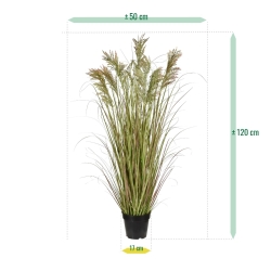 Pianta di erba artificiale Pampa 120cm