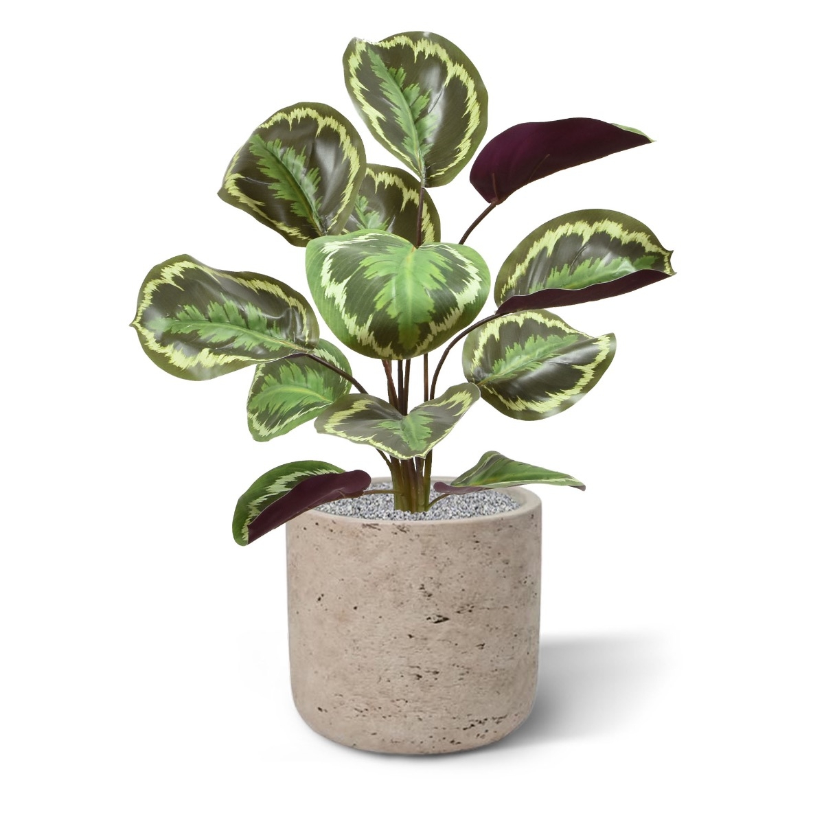 Cespuglio artificiale di Calathea Ornata 45 cm