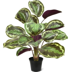 Cespuglio artificiale di Calathea Ornata 45 cm