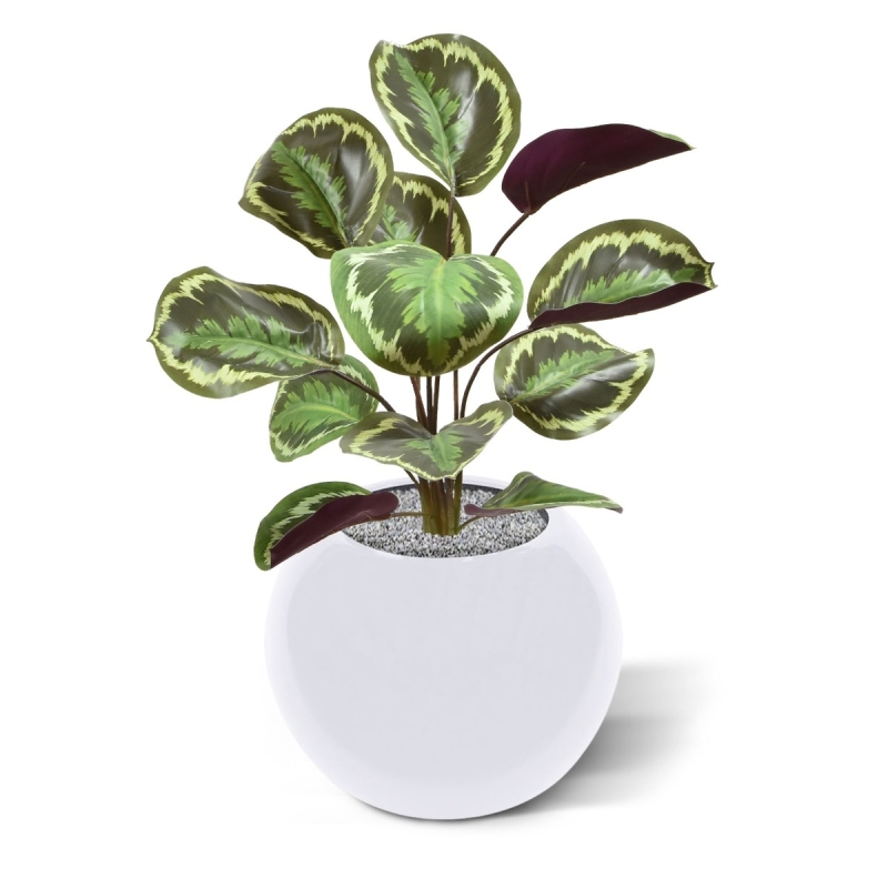 Cespuglio artificiale di Calathea Ornata 45 cm