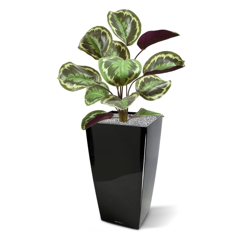 Cespuglio artificiale di Calathea Ornata 45 cm