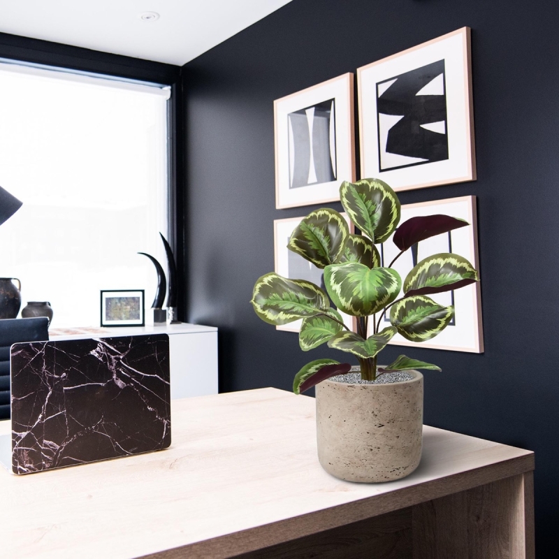 Cespuglio artificiale di Calathea Ornata 45 cm