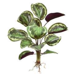 Cespuglio artificiale di Calathea Ornata 45 cm