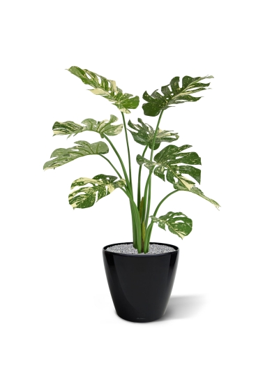 Monstera pianta artificiale 95cm - verde/pelliccia