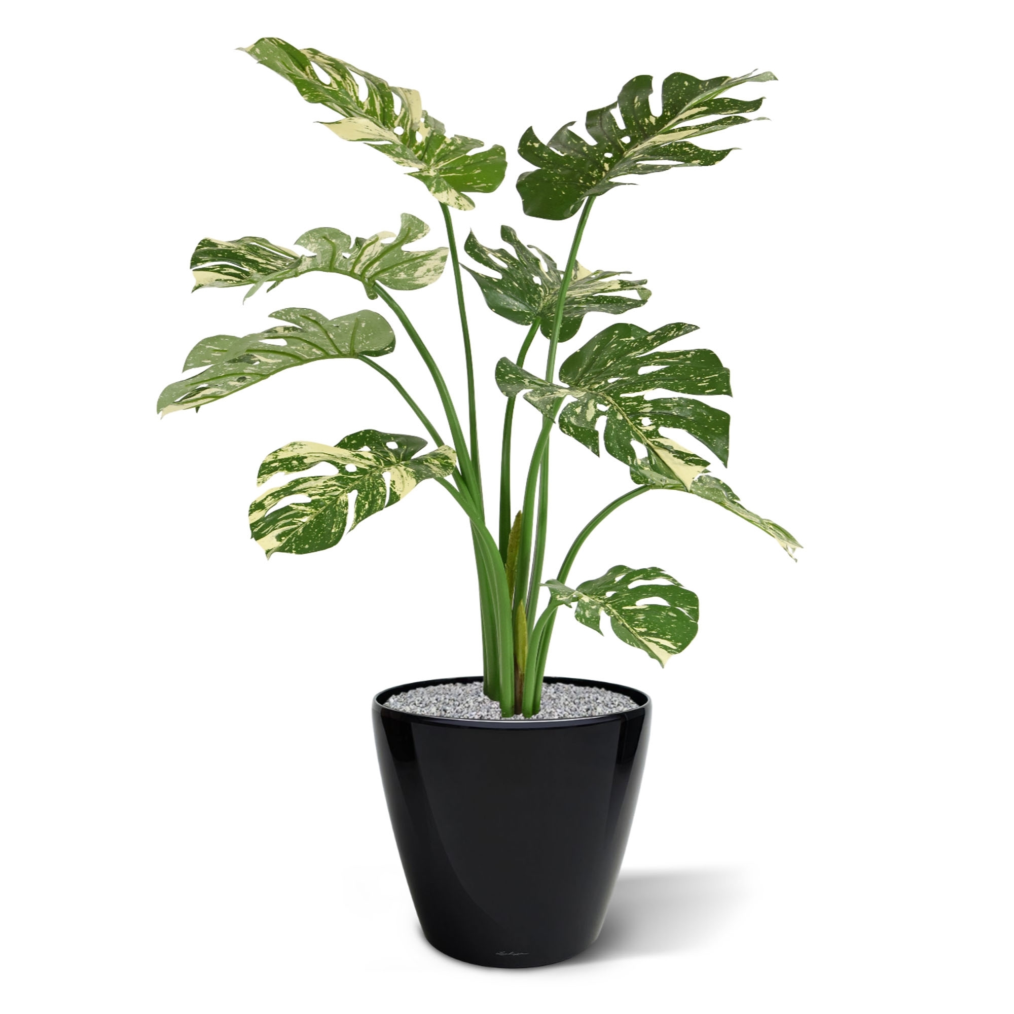 Monstera pianta artificiale 95cm - verde/pelliccia