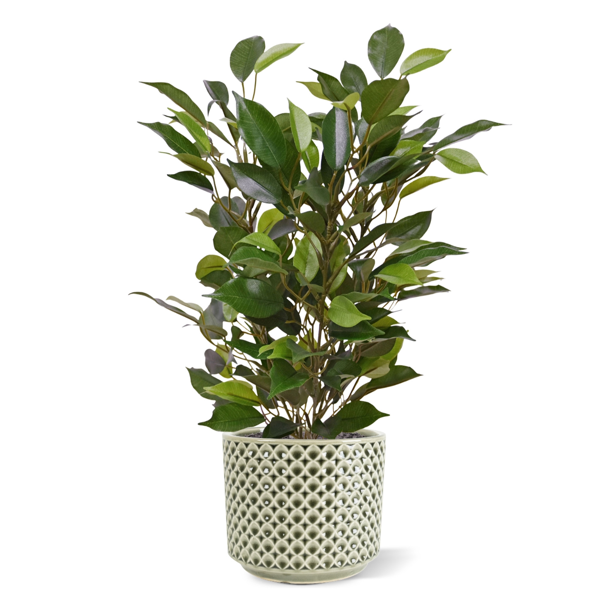 Pianta artificiale Ficus Natacha 40 cm