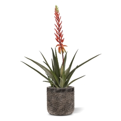 Pianta artificiale di Aloe Vera 75cm rossa