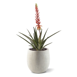 Pianta artificiale di Aloe Vera 75cm rossa
