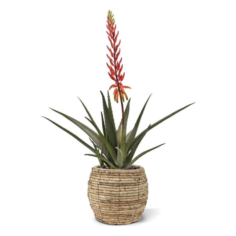 Pianta artificiale di Aloe Vera 75cm rossa