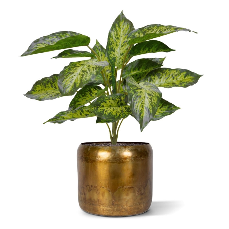 Aglaonema pianta artificiale 40 cm