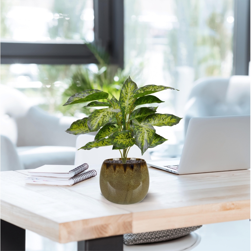 Aglaonema pianta artificiale 40 cm