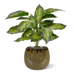 Aglaonema pianta artificiale 40 cm