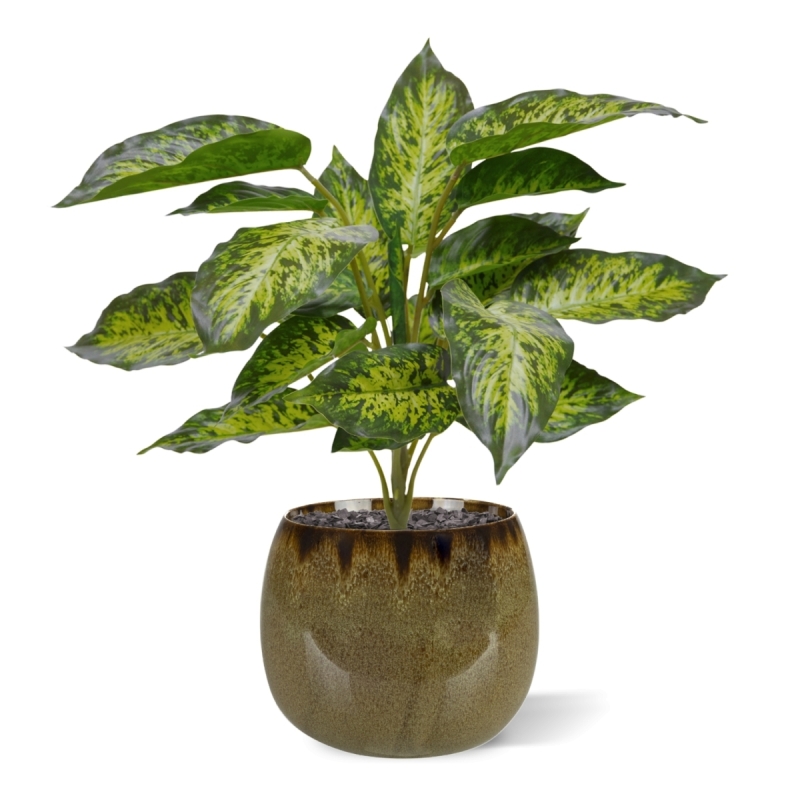 Aglaonema pianta artificiale 40 cm