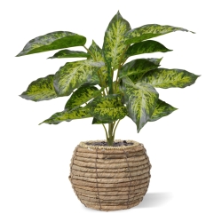 Aglaonema pianta artificiale 40 cm