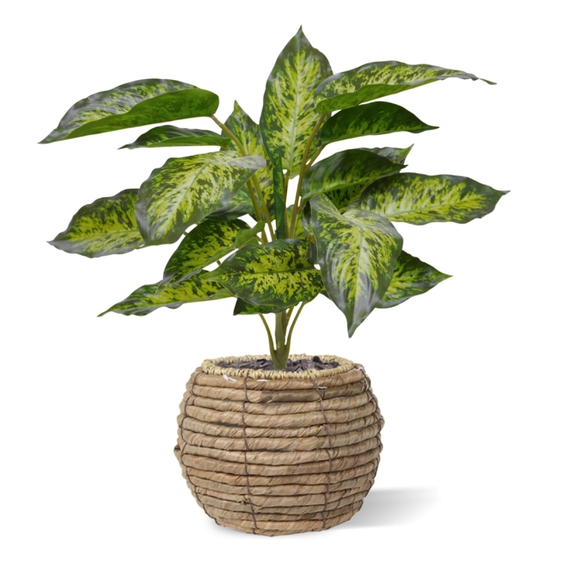 Aglaonema pianta artificiale 40 cm