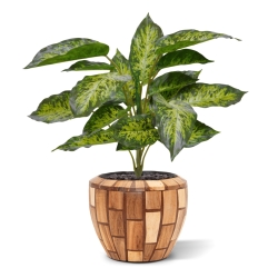 Aglaonema pianta artificiale 40 cm