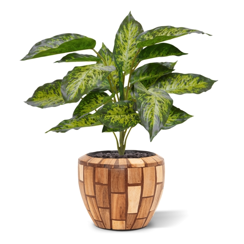 Aglaonema pianta artificiale 40 cm