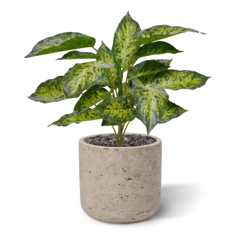 Aglaonema pianta artificiale 40 cm