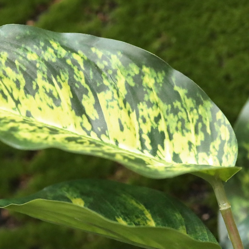 Aglaonema pianta artificiale 40 cm
