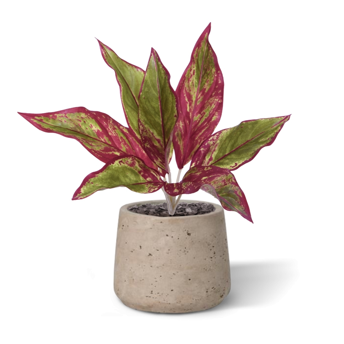 Aglaonema Lipstick pianta artificiale 35cm