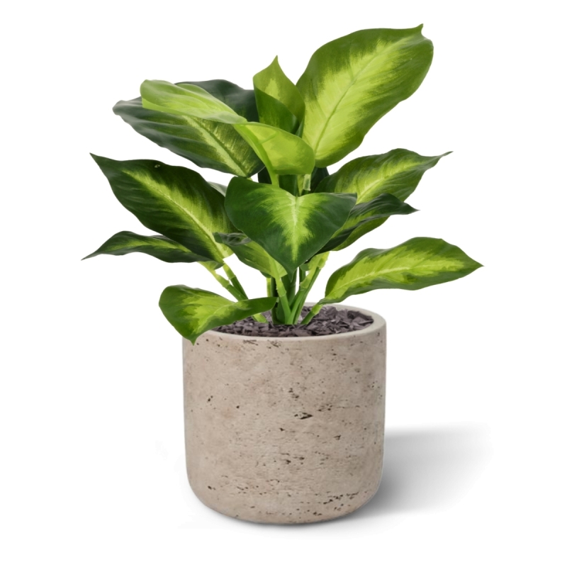 Pianta Dieffenbachia Artificiale 25cm