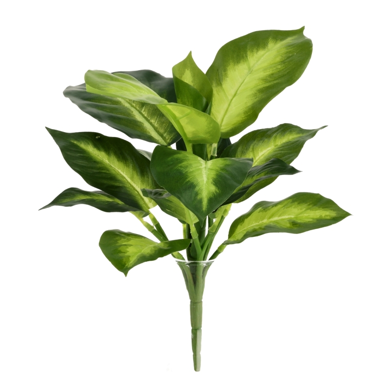 Pianta Dieffenbachia Artificiale 25cm
