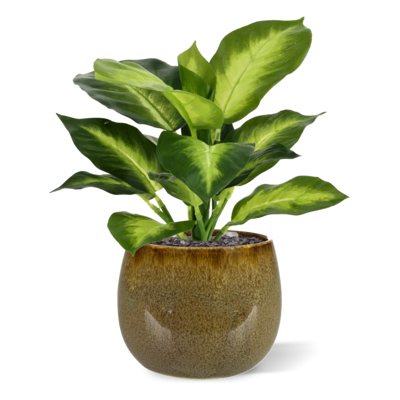 Pianta Dieffenbachia Artificiale 25cm