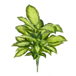 Pianta Dieffenbachia Artificiale 55cm