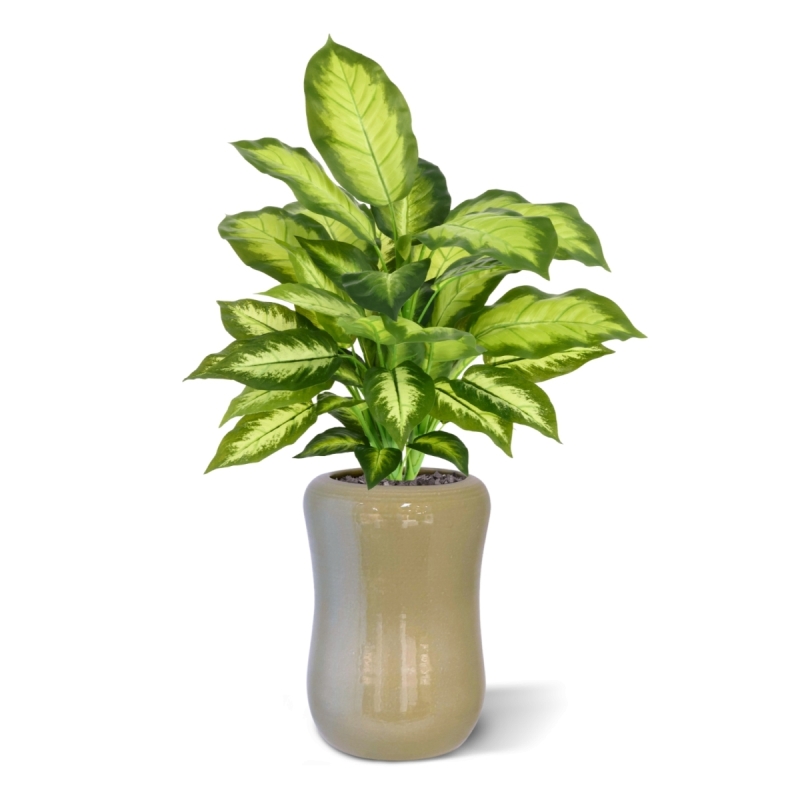 Pianta Dieffenbachia Artificiale 55cm