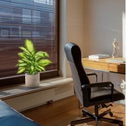 Pianta Dieffenbachia Artificiale 55cm