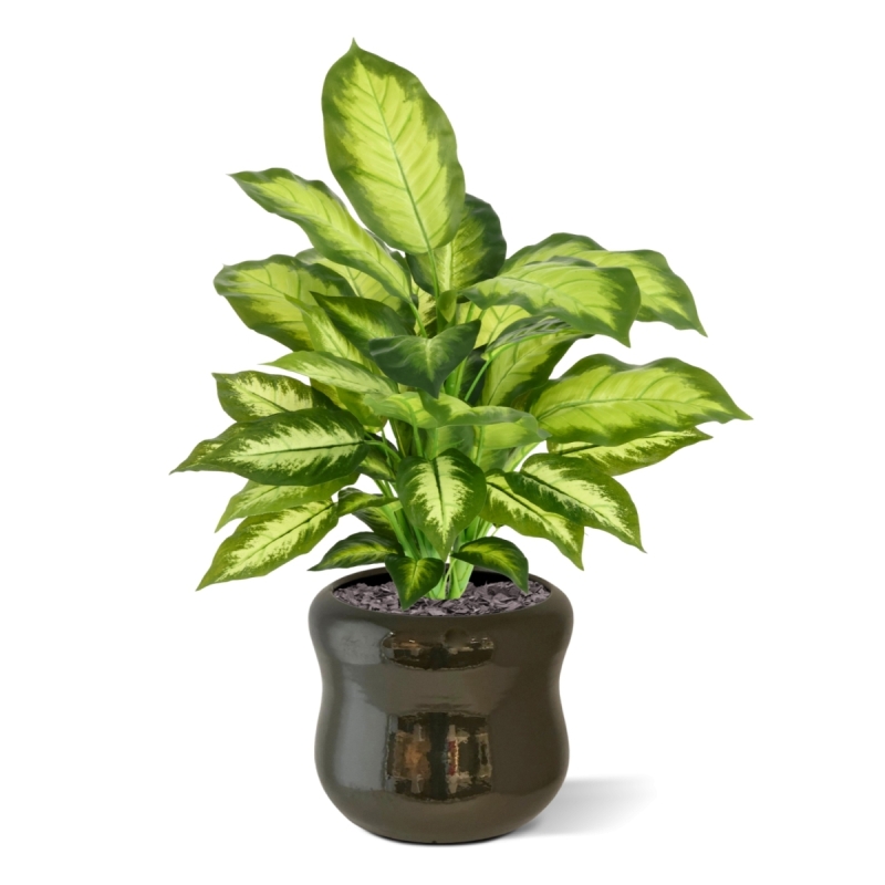 Pianta Dieffenbachia Artificiale 55cm