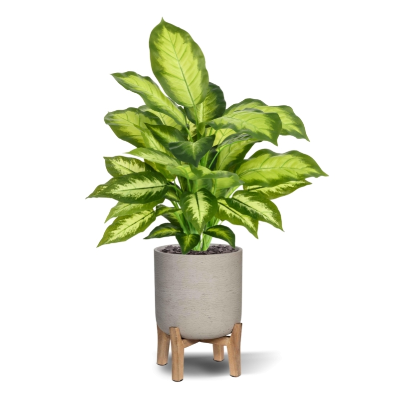 Pianta Dieffenbachia Artificiale 55cm