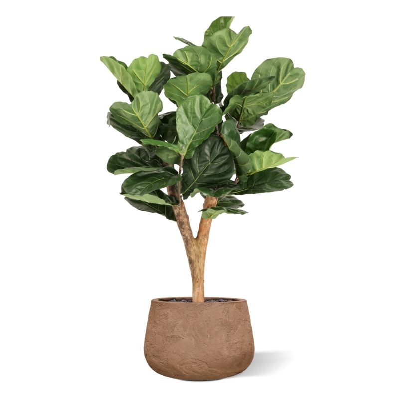 Artificiale Lyrata Deluxe Y Albero 130cm in vaso